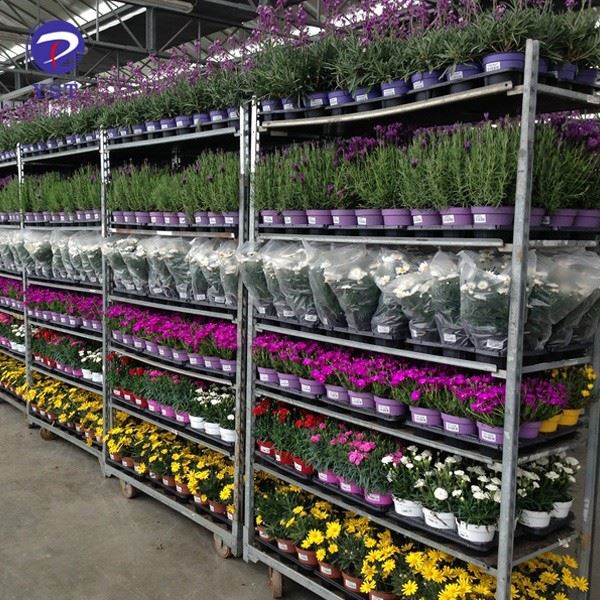 Danish Plant Flower Trolleys