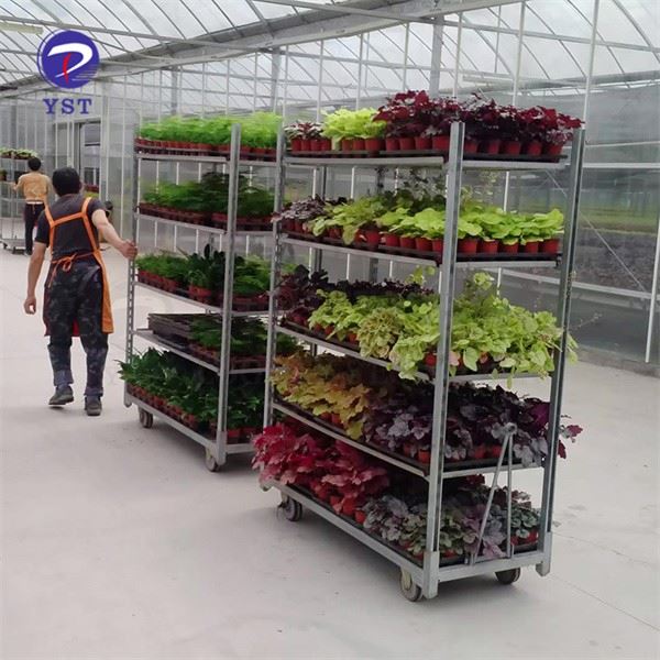 Flower Rack Trolley