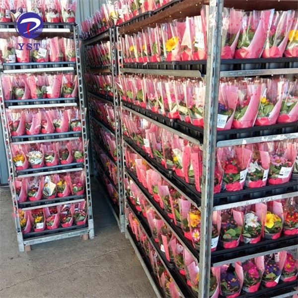 Nursery Racks With Wheels