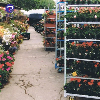 Tralaí Naíolann Mogalra Táthú